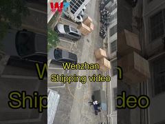 SMT-assemblagemachine Wenzhan verzendvideo